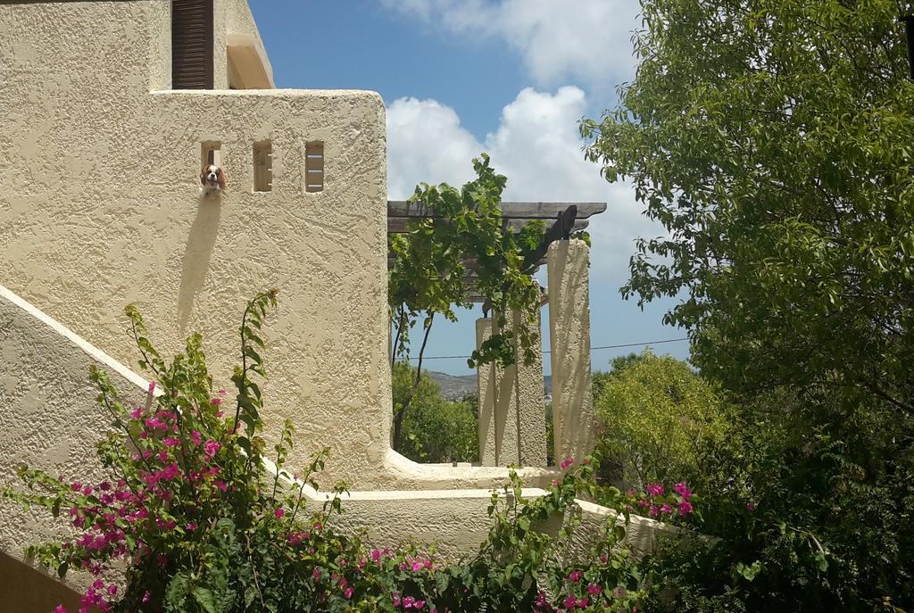 Ζini 2 Villa Kefalos  Exterior photo